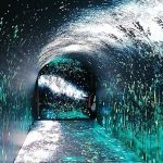 ���Ô��ֶ�ý�w���g��r������